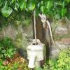 Garden pump on Lanark Rd